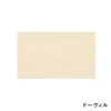 color chip