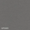 UP5005