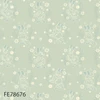 FE78676