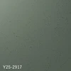 color chip