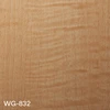 WG-832