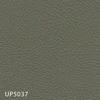 UP5037
