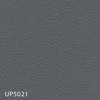 UP5021