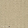 color chip