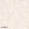 CF9657