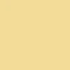 color chip