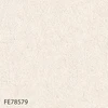 FE78579
