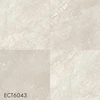 ECT6043