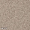 color chip