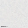 RE55617
