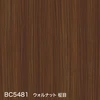 color chip