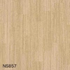 NS857