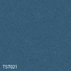 color chip