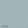 UP5300