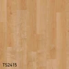 TS2415