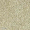 V1101