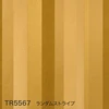 TR5567 ランダムストライプ