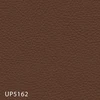 UP5162