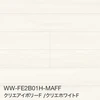 WW-FE2B01H-MAFF