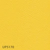 UP5170