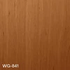 WG-841