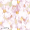 LL-6173