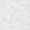 color chip