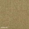 GNN-65