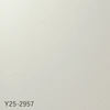 color chip