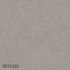 RE55383