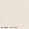 color chip