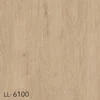 LL-6100