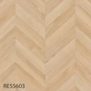 RE55603