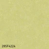 color chip