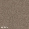 UP5160