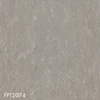 FPT2074