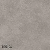 TS5106