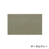 color chip