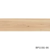 bp11sg-06