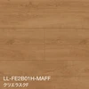 LL-FE2B01H-MAFF