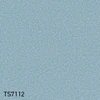 color chip