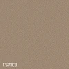 color chip