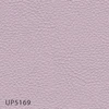 UP5169