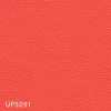 color chip
