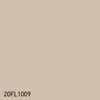 20FL1009