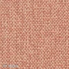 color chip