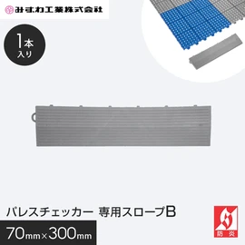 パレスチェッカー専用のスロープです