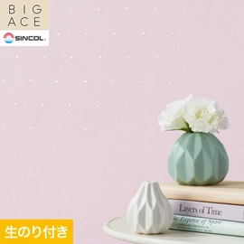 シンコールの住宅向け壁紙シリーズ「BIGACE」のDIYにおすすめののり付き壁紙