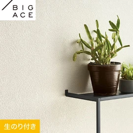 シンコールの住宅向け壁紙シリーズ「BIGACE」のDIYにおすすめののり付き壁紙
