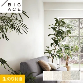 シンコールの住宅向け壁紙シリーズ「BIGACE」のDIYにおすすめののり付き壁紙